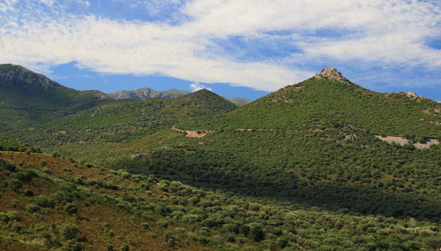 Asco Valley Jeep Tour - Foto 2