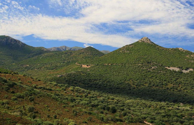 Asco Valley Jeep Tour - Photo 2