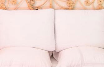 Le Lotus - Tram - Foto 13