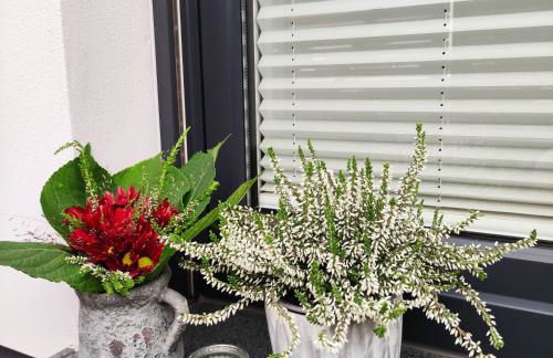 Appartement Mond - Foto 17