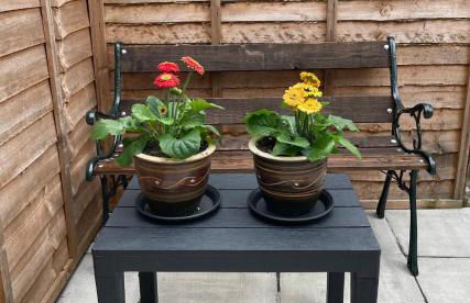 Miners cottage(1840)Nr. Brecon,Tower Zip & Bike Pk - Photo 17