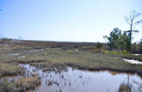 3BR Loft Cozy House Fishing Boating Views - Foto 18