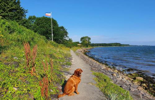 Ferienwohnung Hafenblick Ferienhof Geltinger Bucht - Foto 44