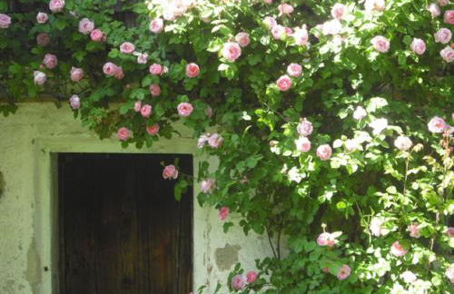 Ferienhof Bimesmeier - Foto 6