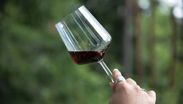 Uma taça de vinho tinto nos bosques de Espoo