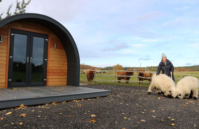 Glampods - 5 Berth Glamping Pod Elgin - Foto 23