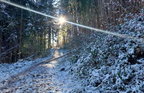 Ferienwohnung Beim Straßer - Foto 9