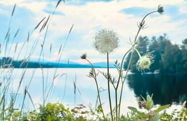 Luxe Modern Lakefront Oasis - Hot Tub, Sunset Views, Pet & Family Friendly! Close to UMF! - Foto 72