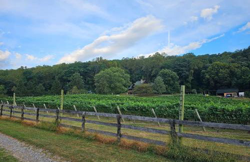 Vinewood Estate & Adventures - Foto 20