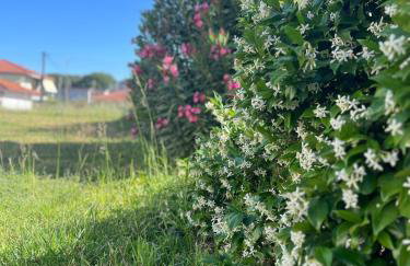 A cottage near Ancient Olympia - Foto 23