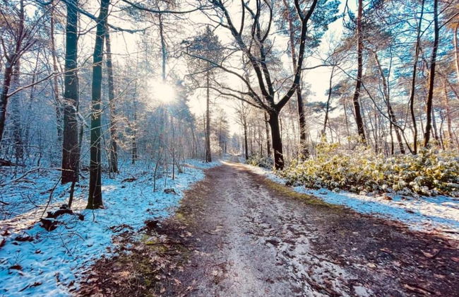 Bunglow for two Person in Mook - Photo 39