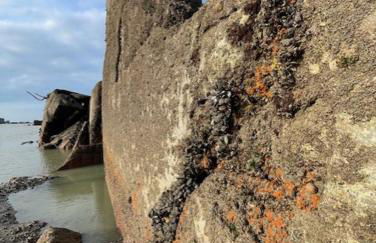 Plage du Débarquement. Maison bord de Mer - Photo 34