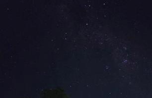 Chalé com Vista para Vinhedo e Natureza - Foto 18