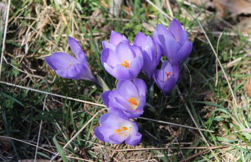 Cuccaro Club - Val di Vara e Cinque Terre - Foto 42