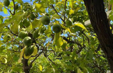 Apartman Mladenka - Foto 27