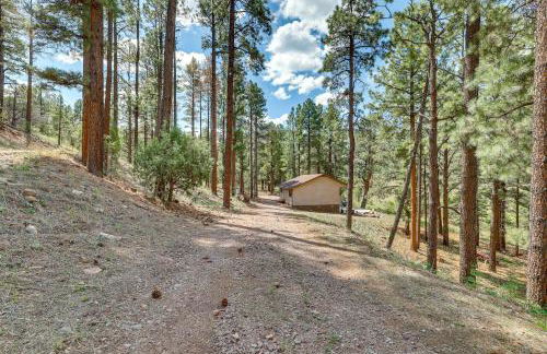 Peaceful Nutrioso Cabin Retreat with Mountain Views! - Foto 24