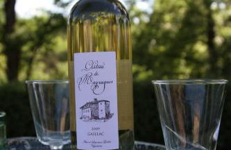 Château de Mayragues - Photo 20