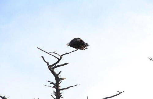 TideAway Farm on Private Island! Escape & Indulge Mother Nature! - Foto 30