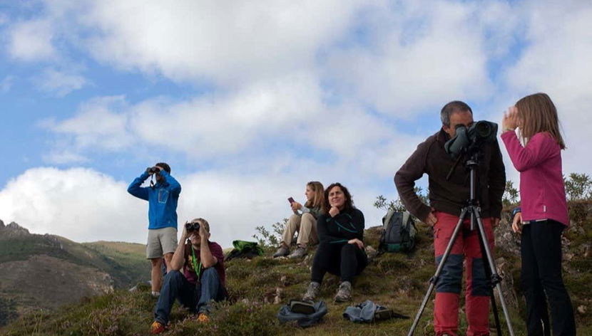 Un grupo avistando a los animales