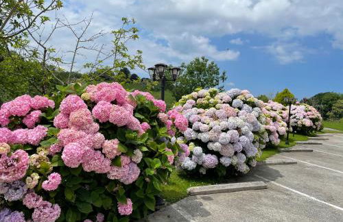 Agroturismo Erretegi Haundi - Foto 14