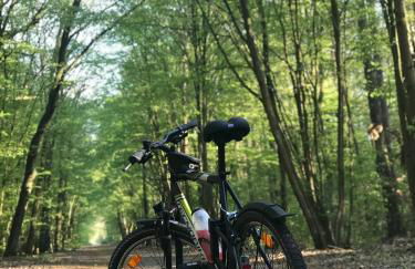 "Casa20200" 2 x Apartments je 150qm für Business, Familien, Gruppen, Handwerker 15min von BERLIN, Erdbeerhof, Outlet B5, 5min vom See Falkensee !! 2 Apartment each 150qm for BUSINESS , FAMILIES 15min from BERLIN!! - Foto 32