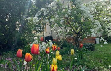 Apartament Blumenblick - Foto 29