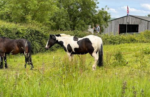 Sticklinch Farm Cottage Near Glastonbury town & walking distance for festival 4 beds sleeps 5 - Photo 3