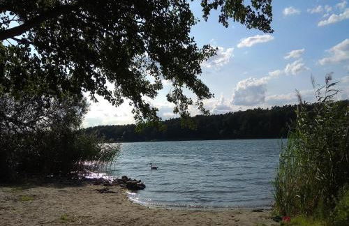 Appartement in Strausberg mit Frühstück inklusive - Foto 24