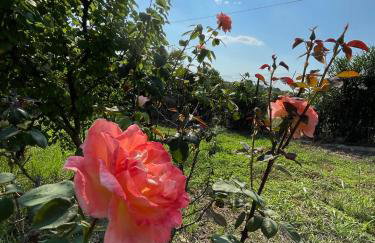Carefree Dreams : Cottage in Flogita Chalkidiki - Foto 19