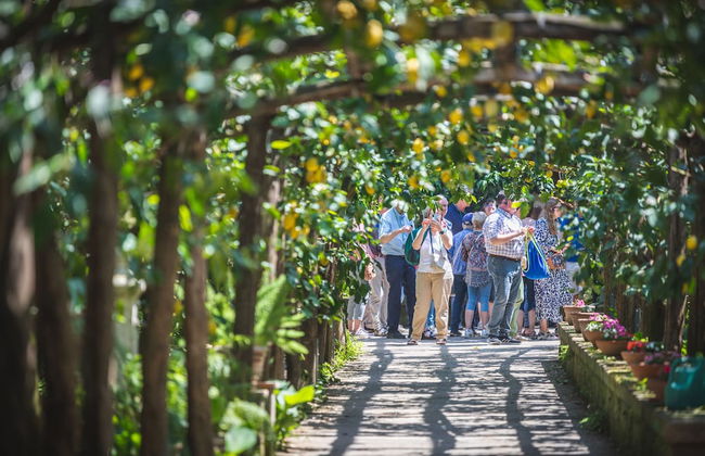 Agriturismo Il Giardino di Vigliano - Foto 49
