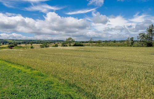 Turnip Cottage - Photo 9
