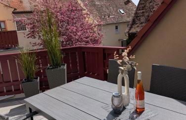 Schwarzer Adler - Ferienwohnung Storchennest - Foto 34