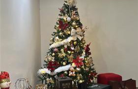 Recanto do Churrasco, espaço de lazer completo - Foto 27