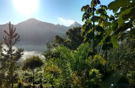 Chalé Pakere Montanha Lumiar - Conforto a mais de 1000 metros de altitude junto a natureza, wifi, piscina, sauna e água de nascente - locação do chalé sem prestação de serviços - Foto 40