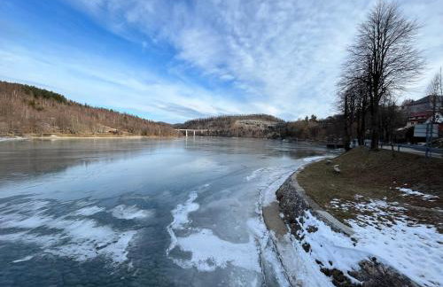 Forest Fairy - Foto 6