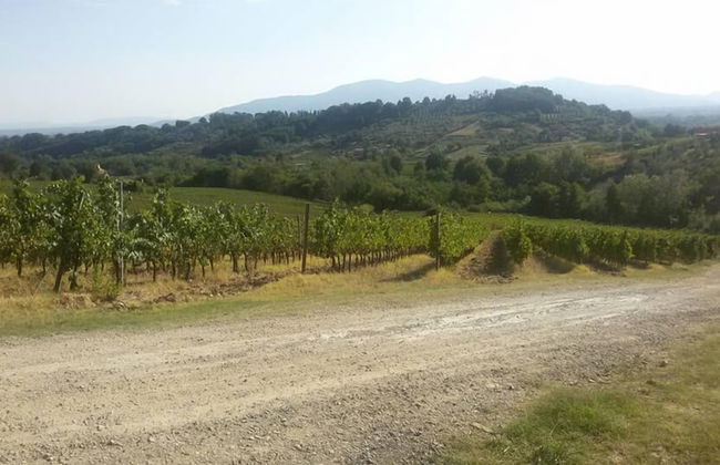 Fattoria di Fubbiano - Photo 23