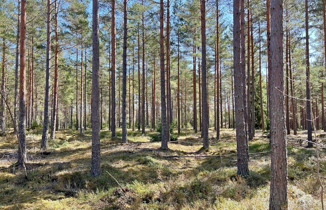 7 Person Holiday Home in Jarna - Photo 30