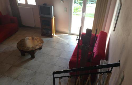 Dogis Retreat - Foto 19