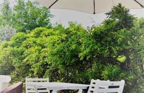 Residenza Bertolini - Foto 55