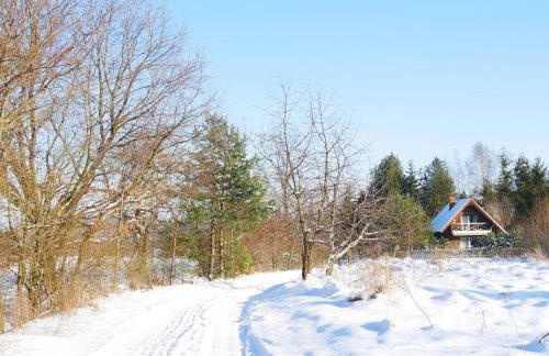 Jeżynowy Domek - Sulistrowice - Photo 16