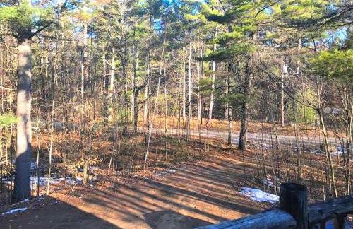 Dog-Friendly Chalet Rental near Whiteface Mountain and Lake Placid, New York - Foto 10