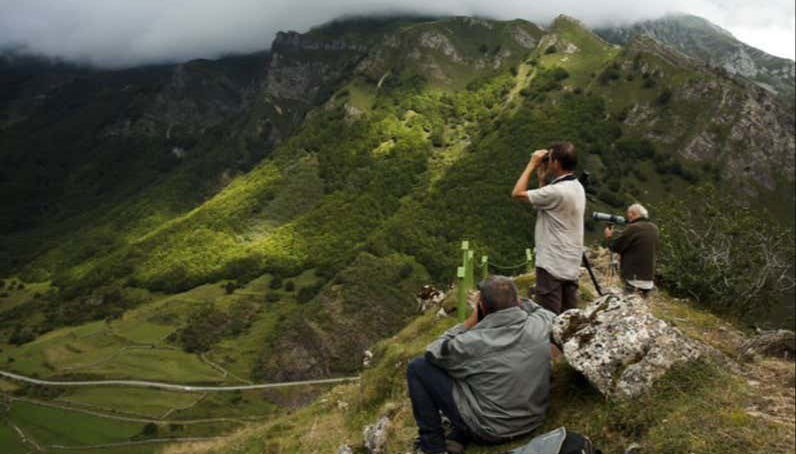 En busca del oso pardo cantábrico