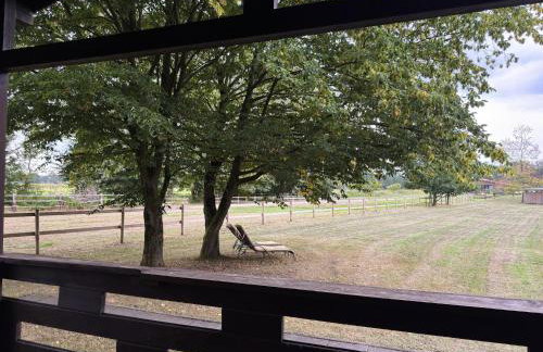 Blockhauser auf Reiterhof in Eschede - Foto 108