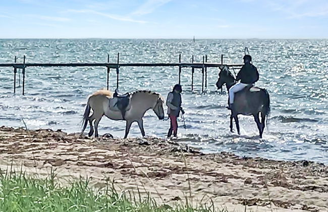 "Stacie" - 10m from the sea - Foto 11