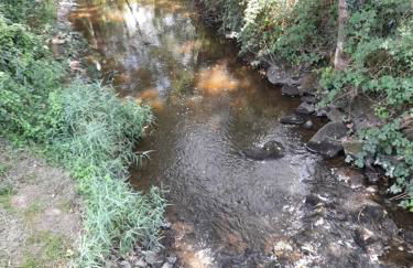 Gîte Déco terrasse ensoleillée et Wi-Fi - Foto 39