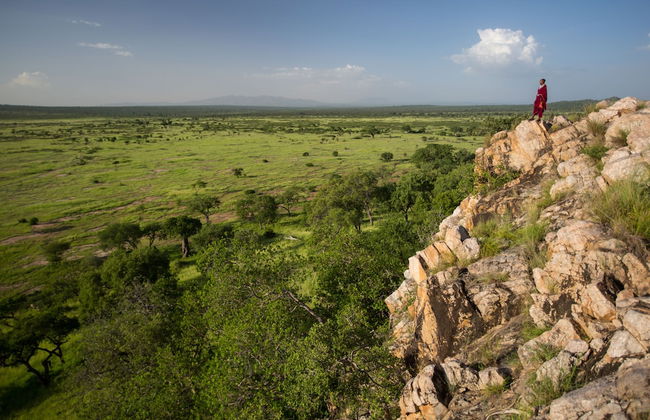 Elewana Tarangire Treetops - Foto 28