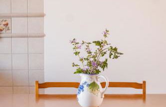 Casa do Mar - Almograve - Magnífico terraço com vista para o campo - Foto 31