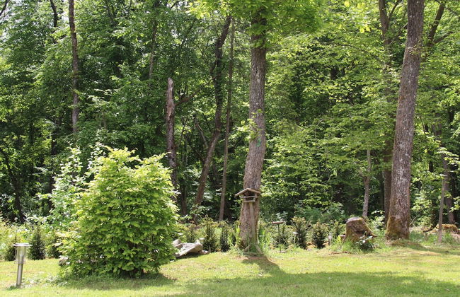 Tidy Holiday Home With Dishwasher, in a Green Area - Foto 17