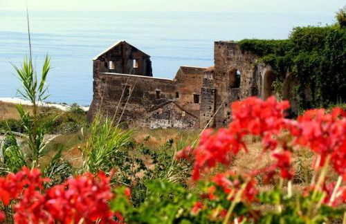 Apartamentos Balcón de Maro - Foto 14