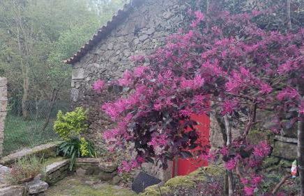 Moinho do Formigal - Foto 53